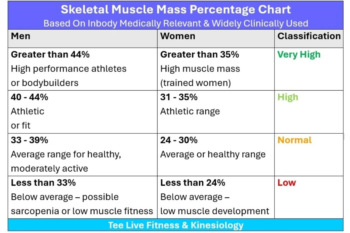 Muscle mass percentage chart for men and women. Shows muscle mass percentage ranges for men and women and its associated classifications.